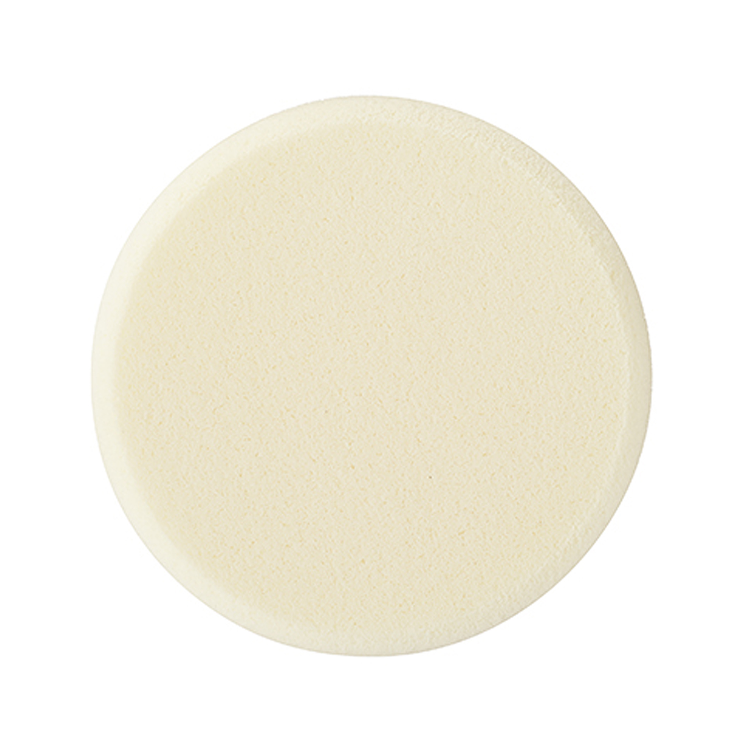 スノー CC パウダー スノー CC パウダー用 スポンジ