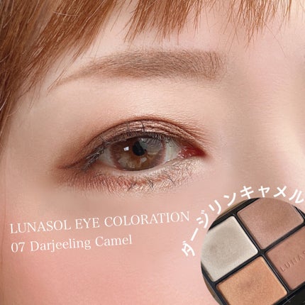 アイカラーレーション/LUNASOL/アイシャドウパレットを使ったクチコミ(3枚目)