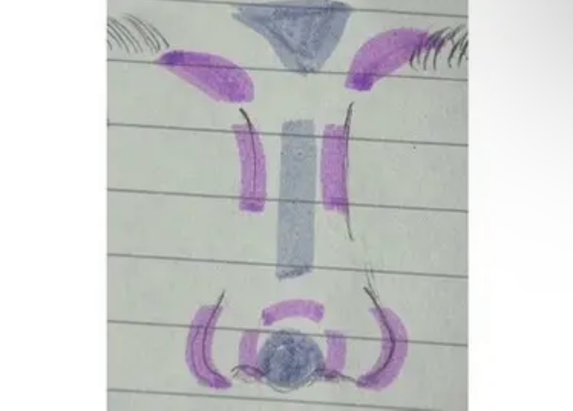 アイムマルチスティック デュアル/i’m meme/シェーディングを使ったクチコミ（2枚目）