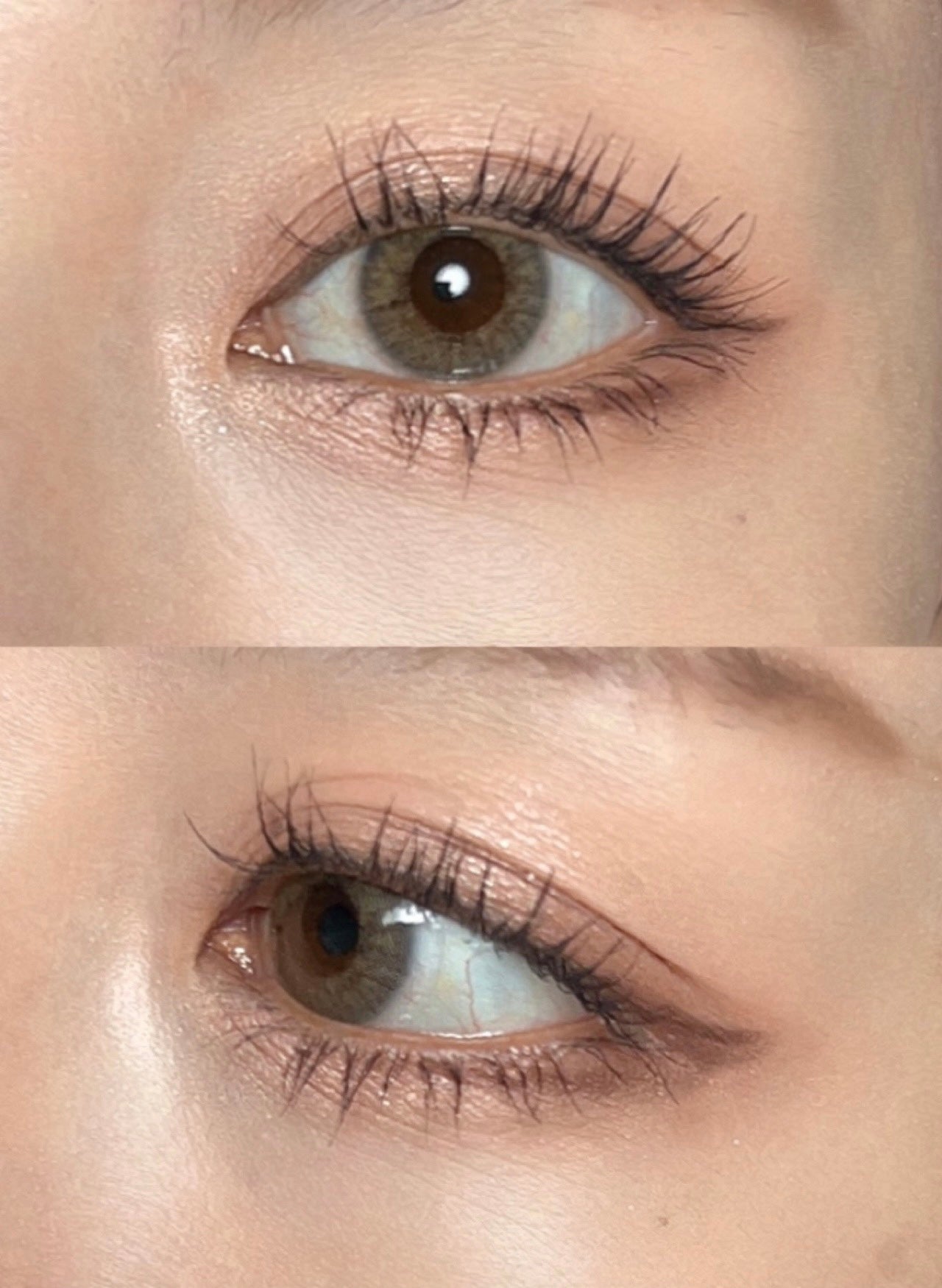 ベージュトーンアイシャドウ/CEZANNE/アイシャドウパレットを使ったクチコミ(4枚目)