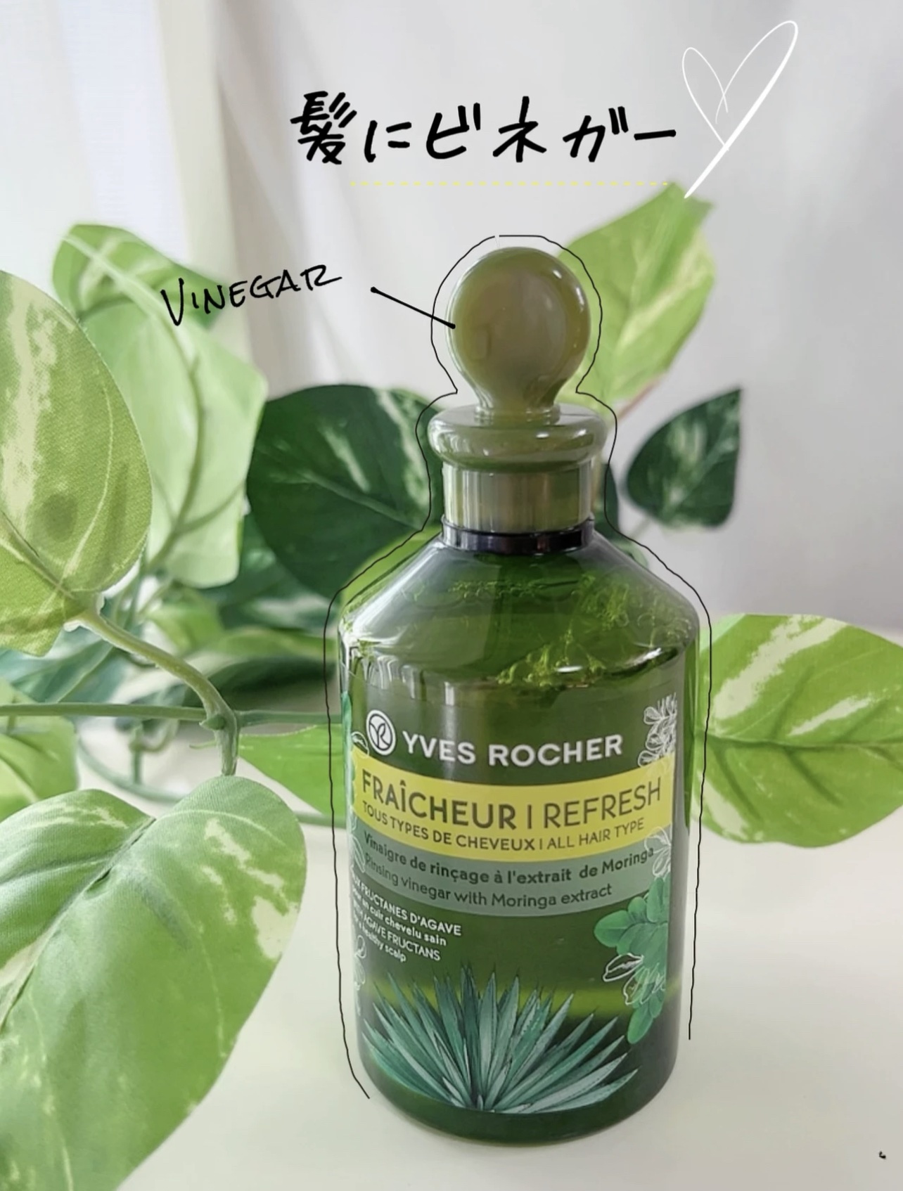 リンシングビネガー ピュアリフレッシュ うるツヤモリンガ /イヴ・ロシェ/洗い流すヘアトリートメントを使ったクチコミ（1枚目）