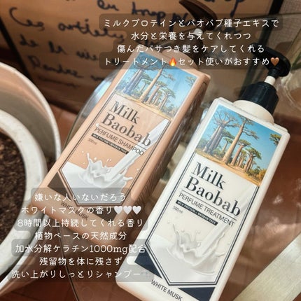 パフュームシャンプー/トリートメント (ホワイトムスク)/ミルクバオバブ/市販シャンプーを使ったクチコミ(2枚目)