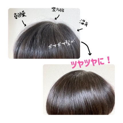 リカバリー オイルエッセンス/treecell/アウトバストリートメントを使ったクチコミ(5枚目)