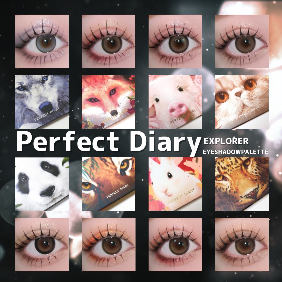 エクスプローラ12色 動物アイシャドウパレット/PERFECT DIARY/アイシャドウパレットを使ったクチコミ（1枚目）