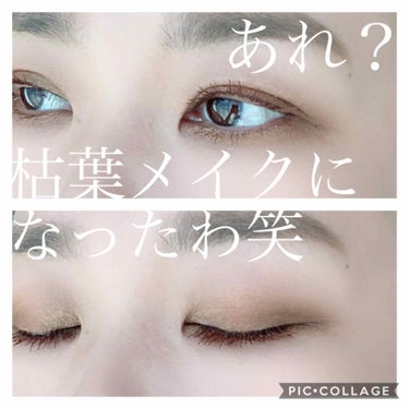 Androgyny Eyeshadow Palette/Jeffree Star Cosmetics/アイシャドウパレットを使ったクチコミ（3枚目）