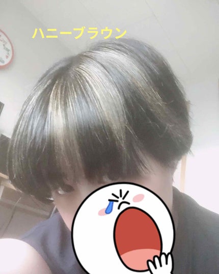1DAY HAIR MONSTER/リーゼ/ヘアカラーを使ったクチコミ(2枚目)