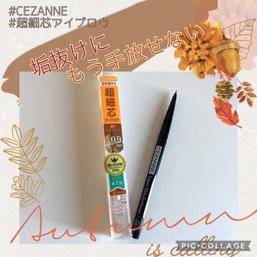 超細芯アイブロウ/CEZANNE/アイブロウペンシルを使ったクチコミ（1枚目）