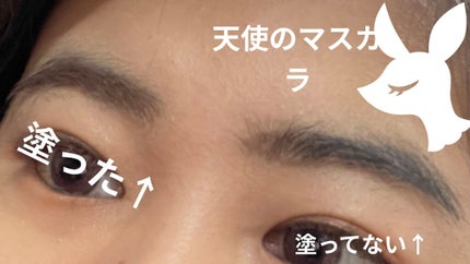 ラッシュ&アイブロウマスカラ/KIREI FACTORY/マスカラを使ったクチコミ(1枚目)