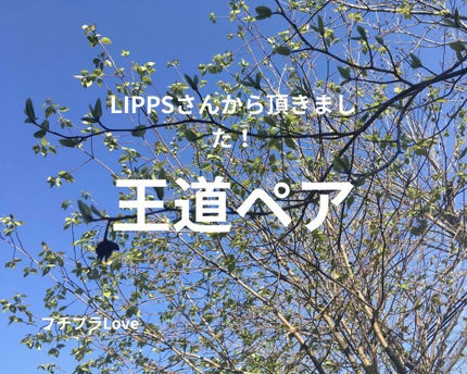 ハトムギ化粧水(ナチュリエ スキンコンディショナー R )/ナチュリエ/化粧水を使ったクチコミ(1枚目)