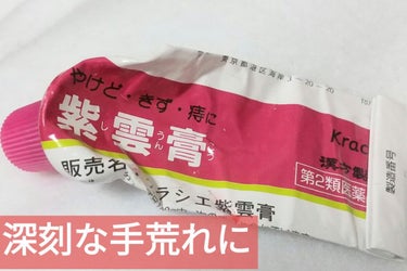 紫雲膏（医薬品）/クラシエ薬品/その他スキンケアグッズを使ったクチコミ（1枚目）