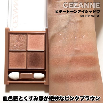 ベージュトーンアイシャドウ/CEZANNE/アイシャドウパレットを使ったクチコミ(10枚目)
