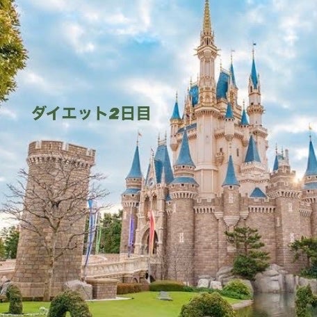 shiny_rouge_5uhv on LIPS 「ダイエット2日目!!52.5kg-0.5kg✨きのう珍しく運動..」(1枚目)