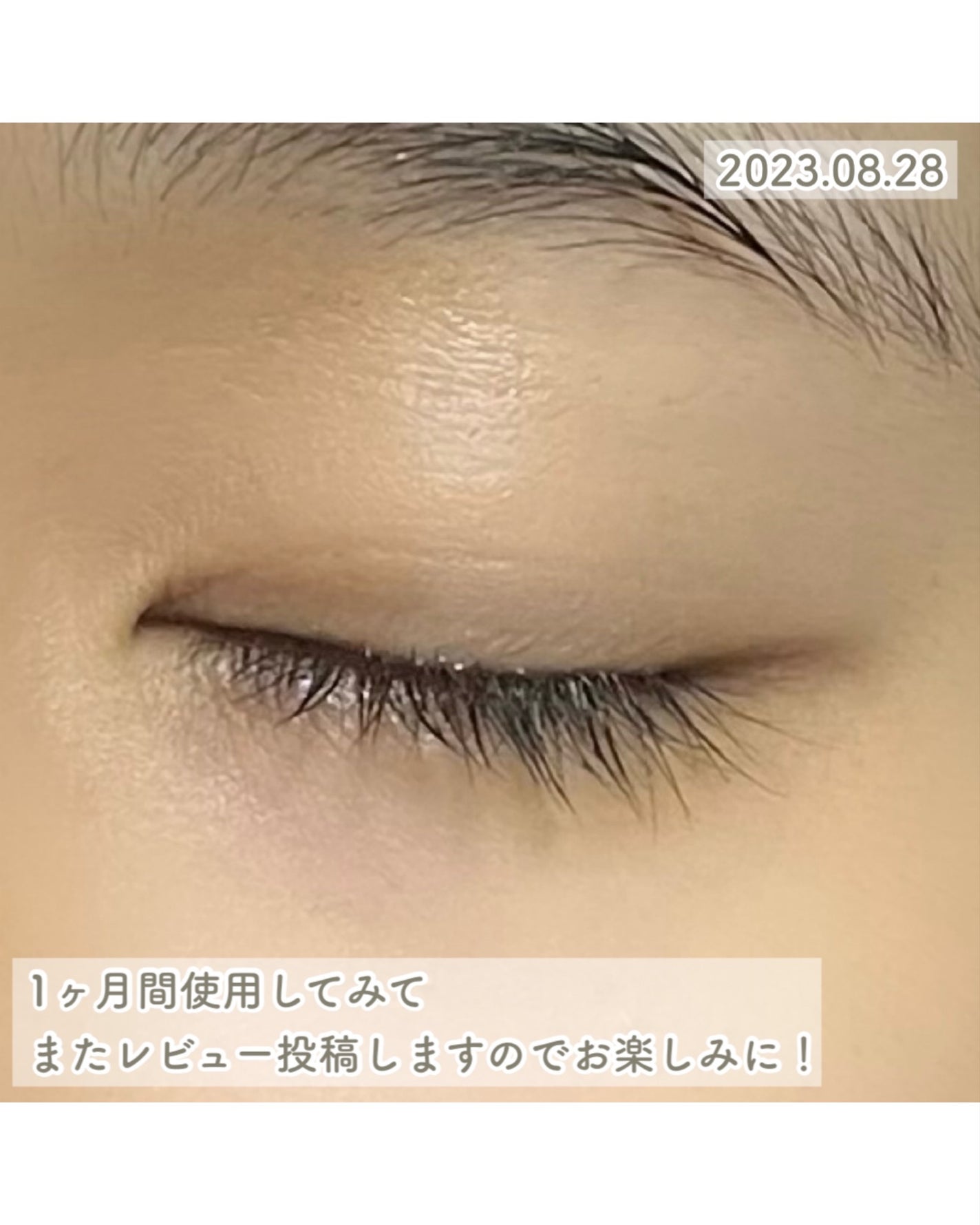 リアルミービオテノールラッシュアップアンプル/ベリサム/まつげ美容液を使ったクチコミ(6枚目)