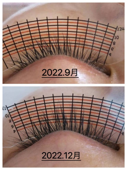 ラッシュアディクト アイラッシュコンディショニングセラム/soaddicted/まつげ美容液を使ったクチコミ(2枚目)