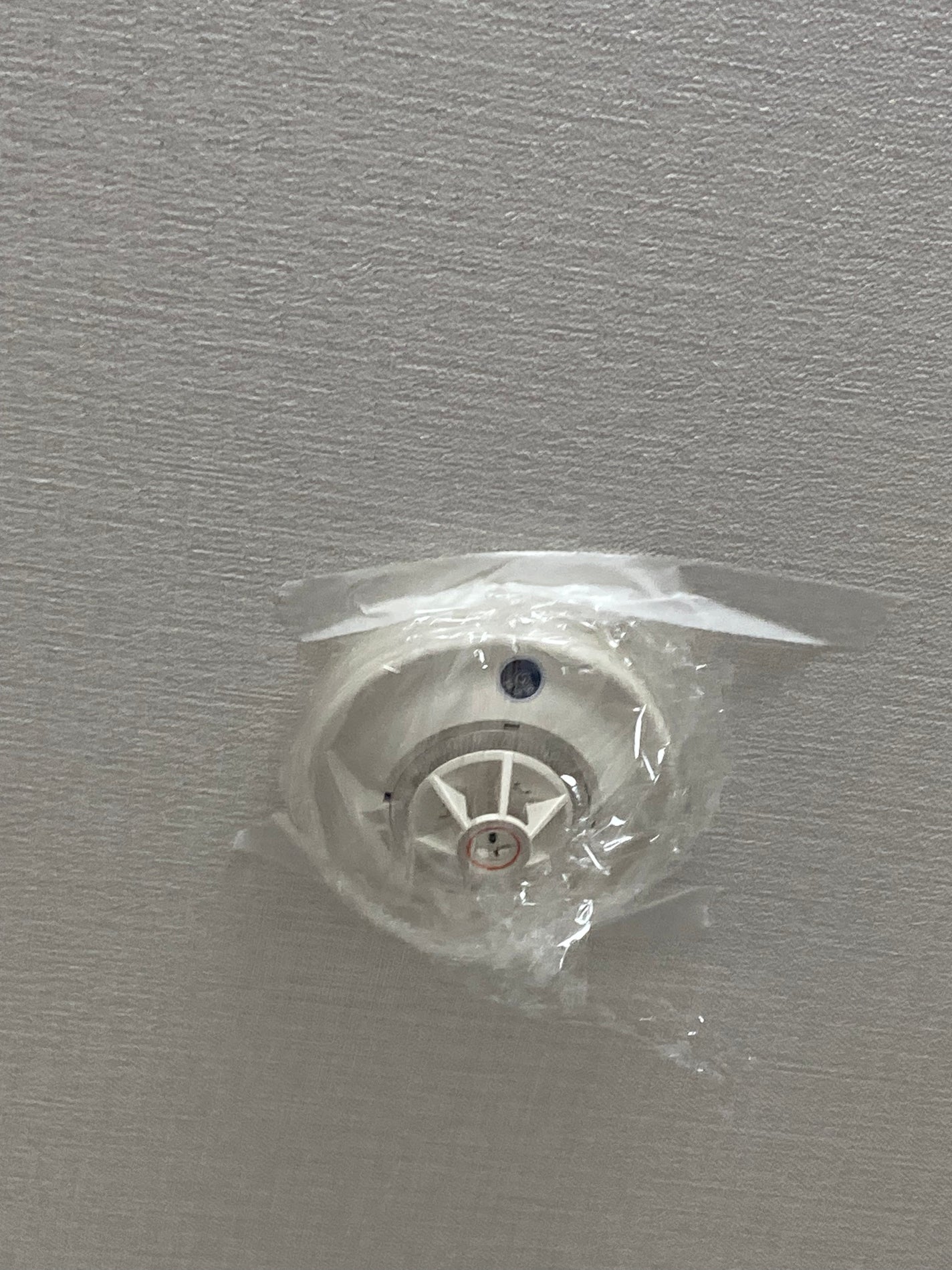 嘘が苦手なくま on LIPS 「なんと!バルサンがダイソーで100円で売ってます!!!(部屋に..」(6枚目)