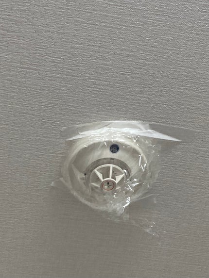 嘘が苦手なくま on LIPS 「なんと!バルサンがダイソーで100円で売ってます!!!(部屋に..」(6枚目)