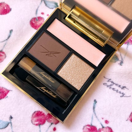 コンスピキュアス アイズ/Amplitude/アイシャドウパレットを使ったクチコミ(2枚目)