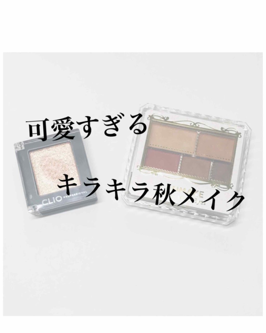 プロ シングル シャドウ/CLIO/単色アイシャドウを使ったクチコミ（1枚目）