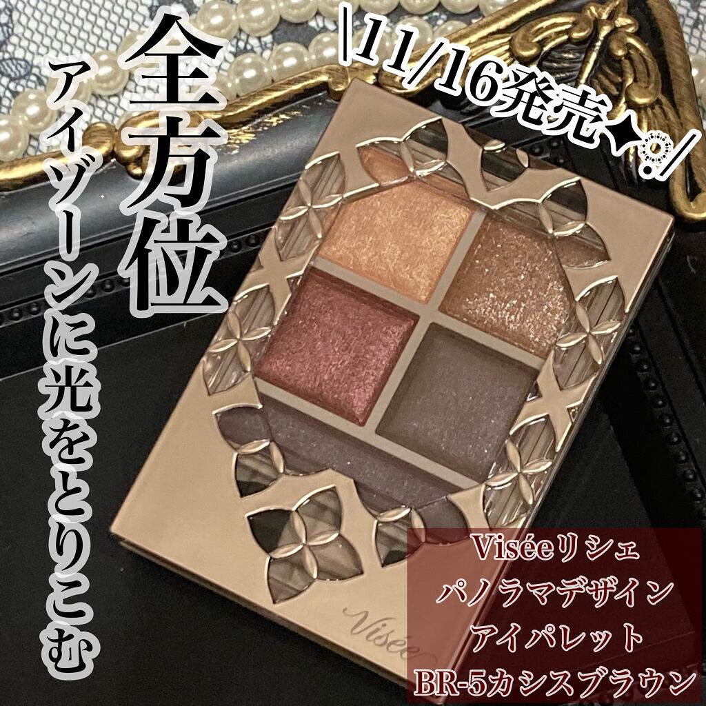 パノラマデザイン アイパレット BR-5 カシスブラウン/Visée/アイシャドウパレットを使ったクチコミ（1枚目）