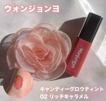 ウォンジョンヨ キャンディーグロウティント/Wonjungyo/リップティントを使ったクチコミ(1枚目)