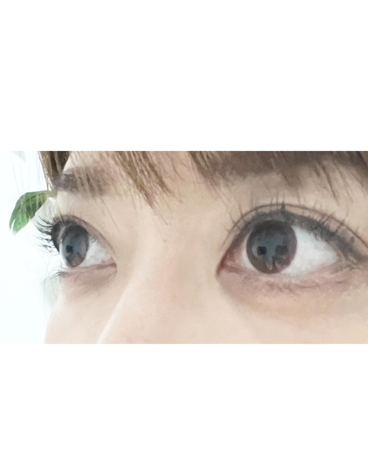 ラッシュニスタ プライマー/MAYBELLINE NEW YORK/マスカラ下地を使ったクチコミ(3枚目)