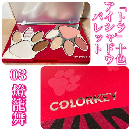 トラ十色アイシャドウパレット/COLORKEY/アイシャドウパレットを使ったクチコミ(1枚目)