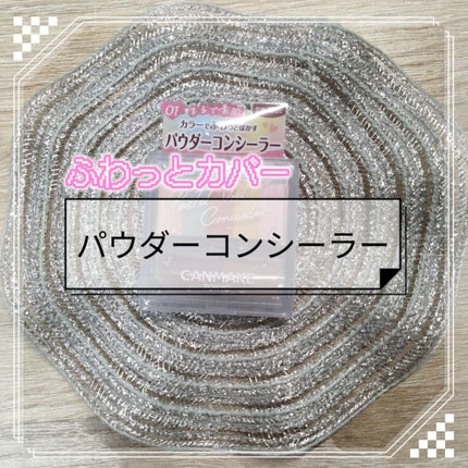 パステルヴェールコンシーラー/キャンメイク/パレットコンシーラーを使ったクチコミ(1枚目)