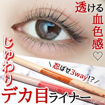 ジュエリーシャドウベール/キャンメイク/アイシャドウパレットを使ったクチコミ(1枚目)