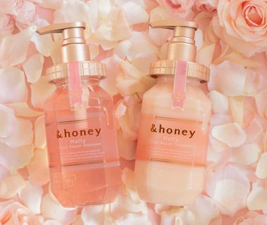 &honey Melty モイストリペア シャンプー1.0／モイストリペア ヘアトリートメント2.0/&honey/シャンプー・コンディショナーを使ったクチコミ（1枚目）