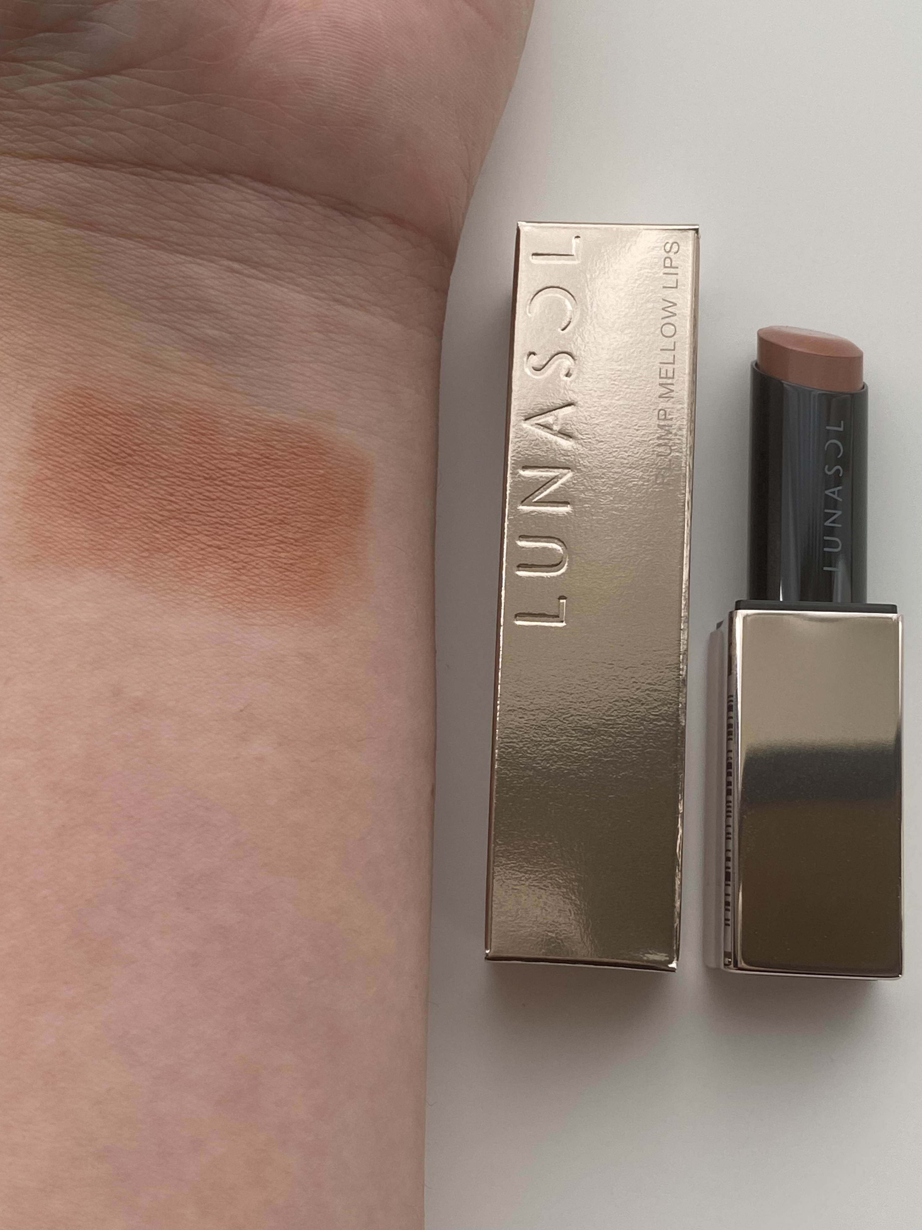 プランプメロウリップス EX20 Modern Tone/LUNASOL/口紅を使ったクチコミ（3枚目）