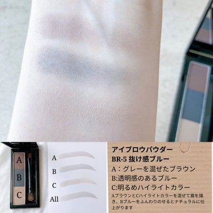 ヴィセ リシェ アイブロウパウダー/Visée/パウダーアイブロウを使ったクチコミ(7枚目)