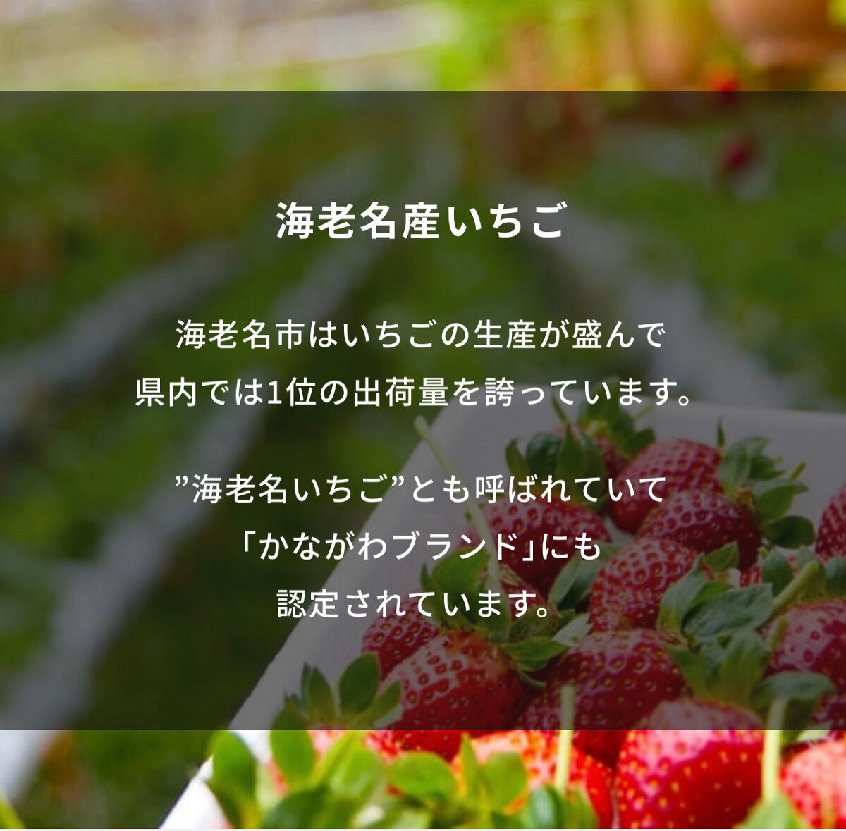 ð«§ã³ã³ã¢ð«§   ãã©ããŒè¿ã100%ð on LIPS ãðèºã®éŠãã§ã颚åæé楜ããŸãªãïŒðð«§ãšããªãã€ãã£ãŒãã€ãºã·..ãïŒ4æç®ïŒ