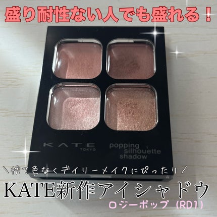 アンティークパステル ライナー/Visée/リキッドアイライナーを使ったクチコミ(1枚目)