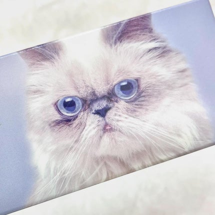 Charton 1day/Charton/ワンデー(1DAY)カラコンを使ったクチコミ(4枚目)