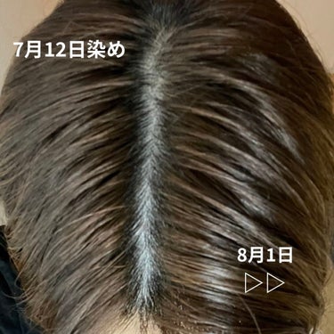 ヘアアクセルレーター レモンライムの香り/加美乃素本舗/頭皮ケアを使ったクチコミ（2枚目）