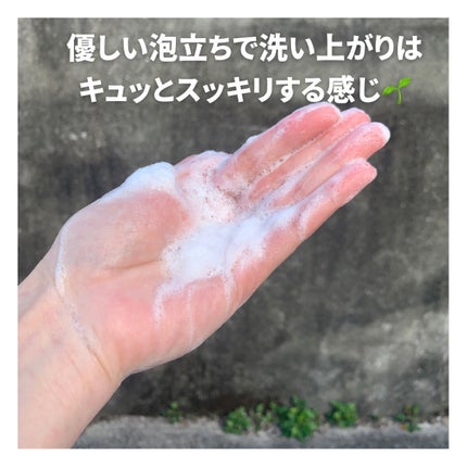 ザ・パーフェクトアンカー レモングラス&オレンジ #11/THE PERFECT ANCHOR/ボディソープを使ったクチコミ(6枚目)