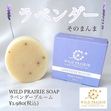 石けんラベンダーブルーム/Wild Prairie Soap/洗顔石鹸を使ったクチコミ（1枚目）