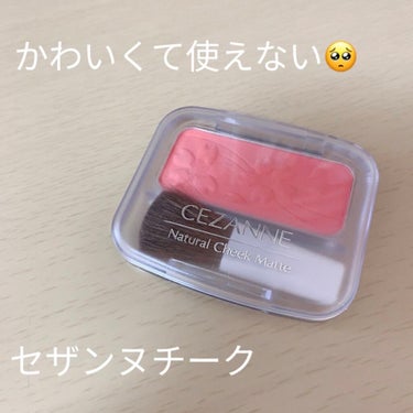 ナチュラル チークN 101 ホットピンク/CEZANNE/パウダーチークを使ったクチコミ（1枚目）