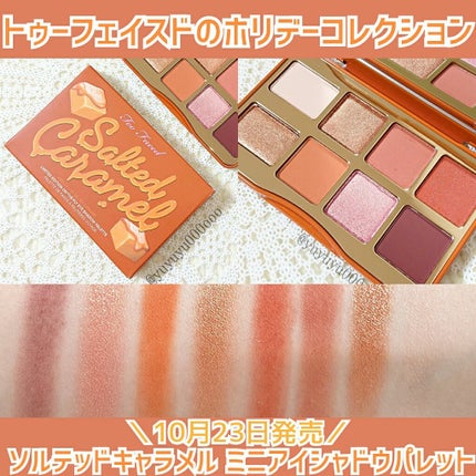 ソルテッド キャラメル ミニ アイシャドウ パレット/Too Faced/アイシャドウパレットを使ったクチコミ(1枚目)