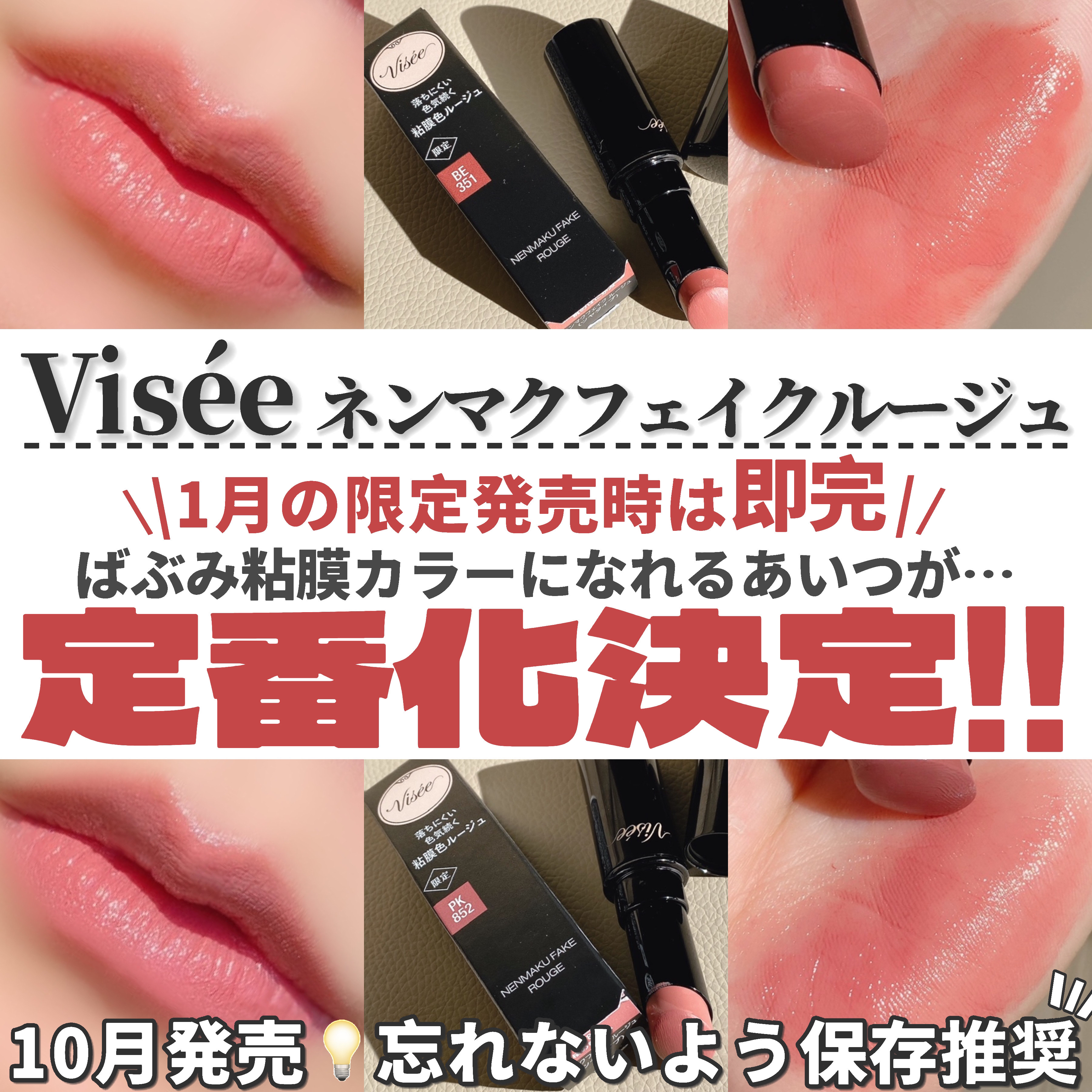2024年秋新作口紅】ネンマクフェイク ルージュ｜Viséeの辛口レビュー