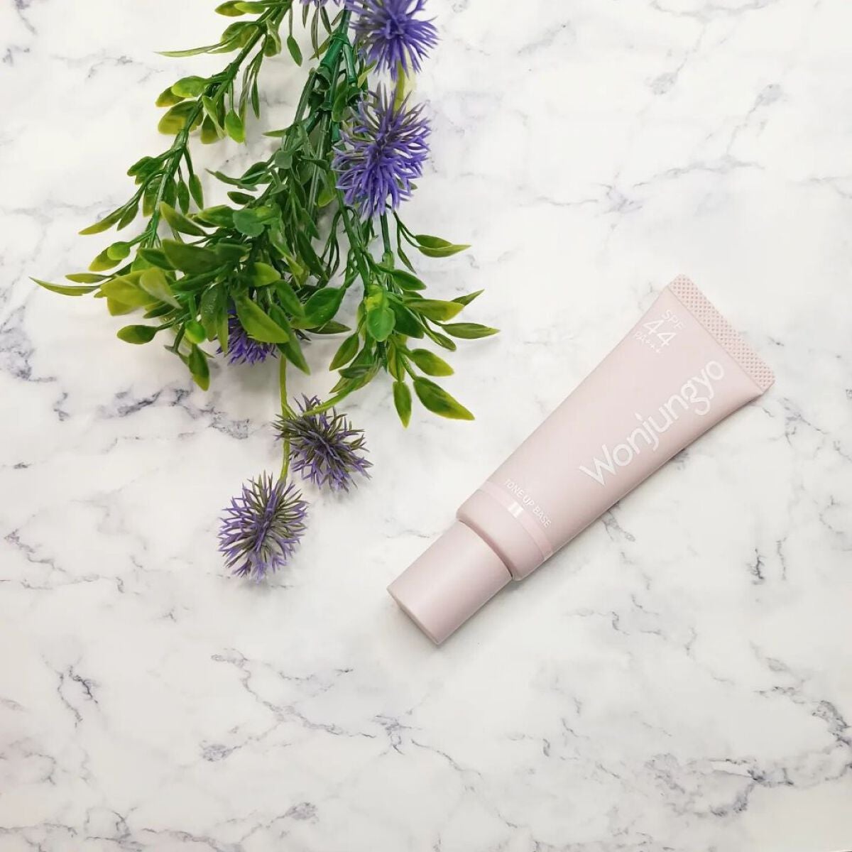 ウォンジョンヨ トーンアップベース/Wonjungyo/化粧下地を使ったクチコミ(1枚目)