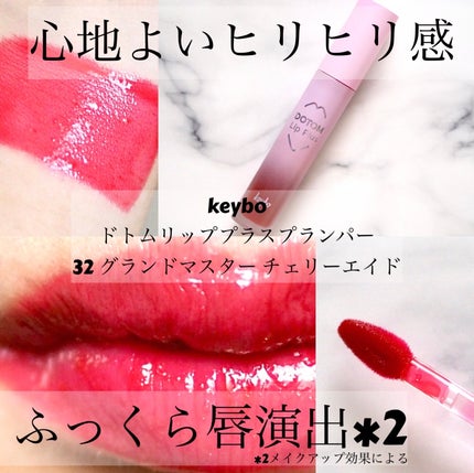 ドトムリッププラスプランパー/keybo/リッププランパーを使ったクチコミ(1枚目)