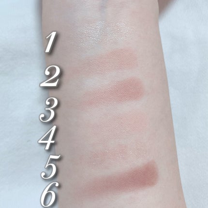 ブラーフィニシュシャドウパレット/Dinto/アイシャドウパレットを使ったクチコミ(5枚目)