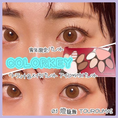 トラ十色アイシャドウパレット/COLORKEY/アイシャドウパレットを使ったクチコミ（1枚目）