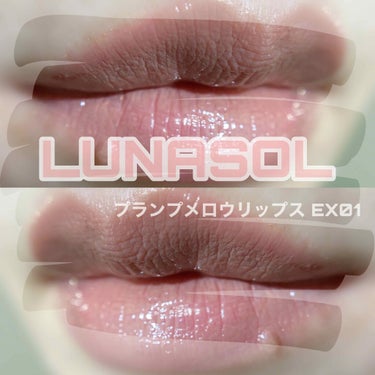 プランプメロウリップス EX01 Sophisticate/LUNASOL/口紅を使ったクチコミ（1枚目）