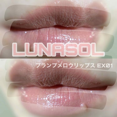 プランプメロウリップス/LUNASOL/口紅を使ったクチコミ（1枚目）