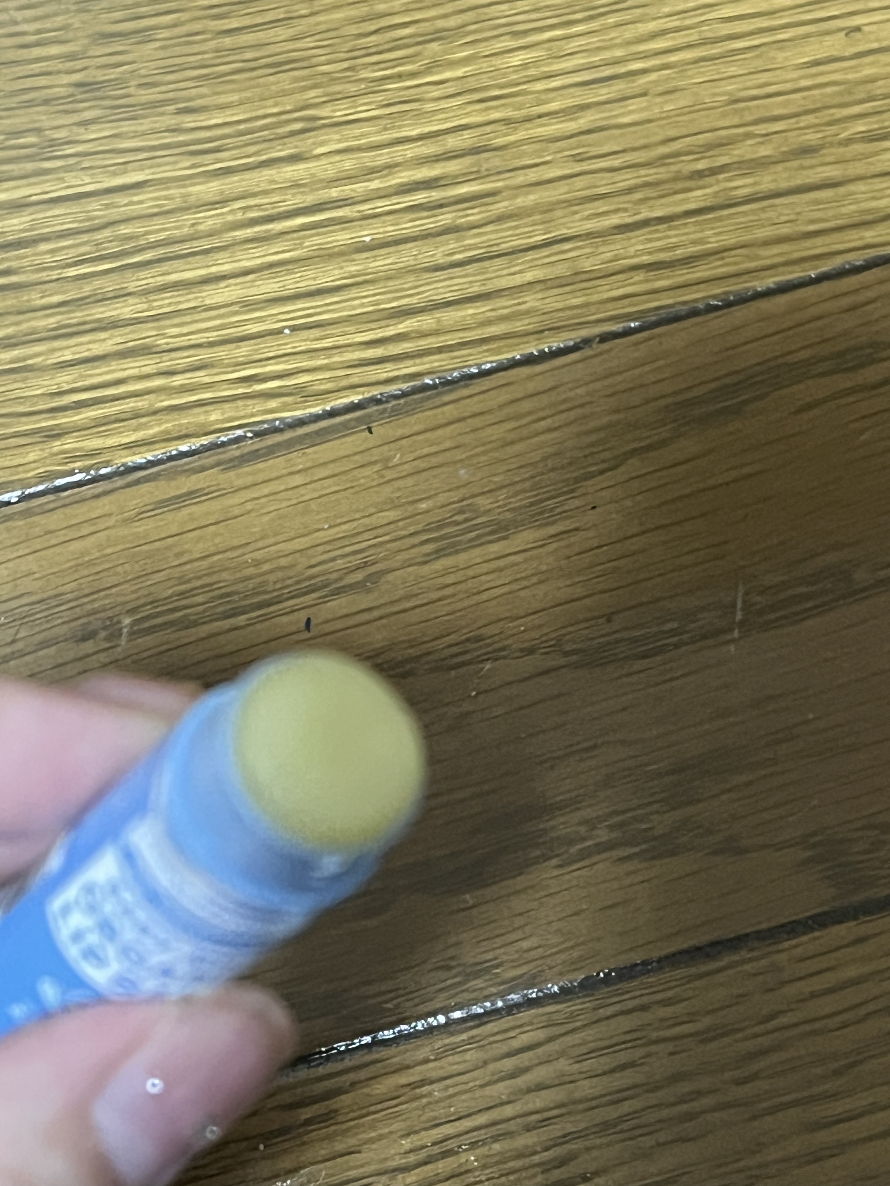 マジック オーガニックリップバーム ベビーマイルド/ドクターブロナー/リップバームを使ったクチコミ（3枚目）