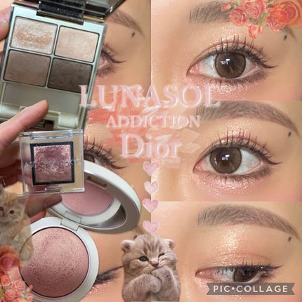 スキンモデリングアイズ/LUNASOL/アイシャドウパレットを使ったクチコミ(1枚目)