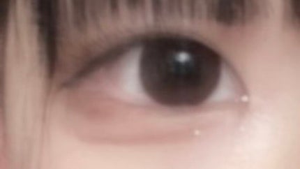 エバーカラーワンデー ナチュラル/エバーカラー/ワンデー(1DAY)カラコンを使ったクチコミ(1枚目)