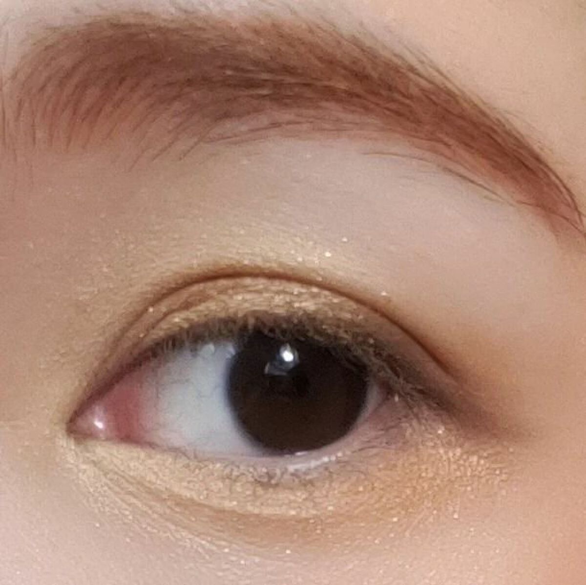 アイカラーレーション EX21 Serval Cat（限定発売）/LUNASOL/アイシャドウパレットを使ったクチコミ（3枚目）